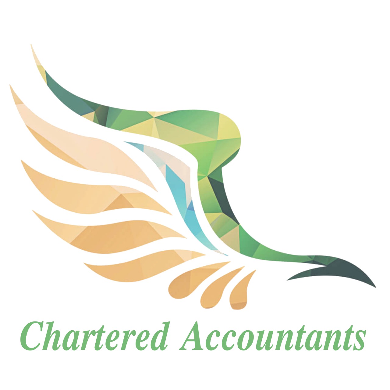 Pegasus Chartered Accountants